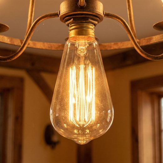 Warmly glowing vintage Edison bulb featuring a visible squirrel cage filament design.